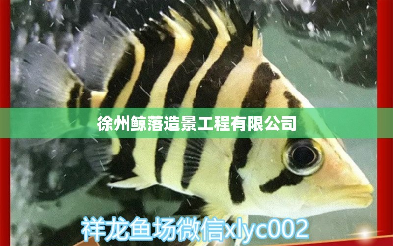 徐州鲸落造景工程有限公司 全国水族馆企业名录 第1张