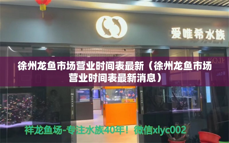 徐州龙鱼市场营业时间表最新（徐州龙鱼市场营业时间表最新消息） 祥龙水族医院
