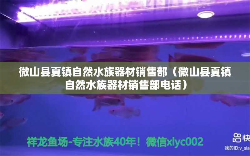 微山县夏镇自然水族器材销售部（微山县夏镇自然水族器材销售部电话） 全国水族馆企业名录