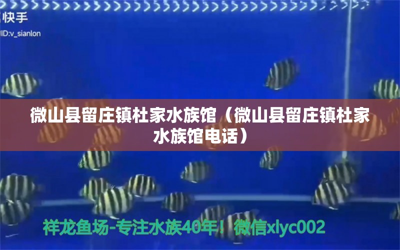 微山县留庄镇杜家水族馆（微山县留庄镇杜家水族馆电话） 全国水族馆企业名录