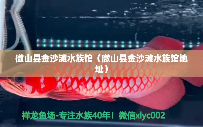 微山县金沙滩水族馆（微山县金沙滩水族馆地址） 全国水族馆企业名录