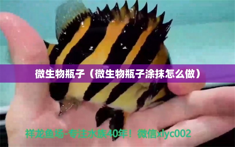 微生物瓶子（微生物瓶子涂抹怎么做）