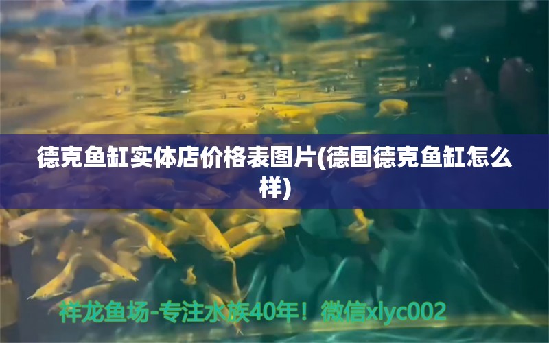 德克鱼缸实体店价格表图片(德国德克鱼缸怎么样) 纯血皇冠黑白魟鱼