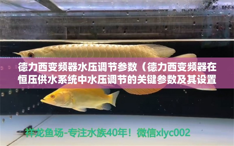 德力西变频器水压调节参数（德力西变频器在恒压供水系统中水压调节的关键参数及其设置说明） 祥龙水族滤材/器材 第2张