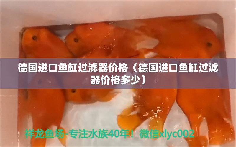 德国进口鱼缸过滤器价格（德国进口鱼缸过滤器价格多少） 圣菲埃及鱼