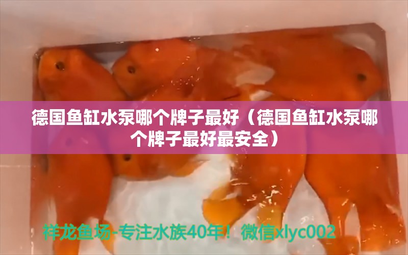 德国鱼缸水泵哪个牌子最好（德国鱼缸水泵哪个牌子最好最安全） 鱼缸水泵