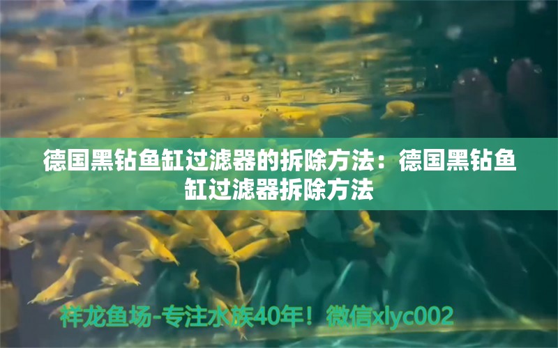 德国黑钻鱼缸过滤器的拆除方法：德国黑钻鱼缸过滤器拆除方法 鱼缸百科 第2张