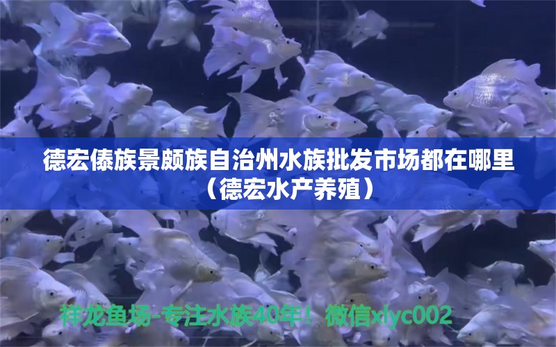 德宏傣族景颇族自治州水族批发市场都在哪里（德宏水产养殖）