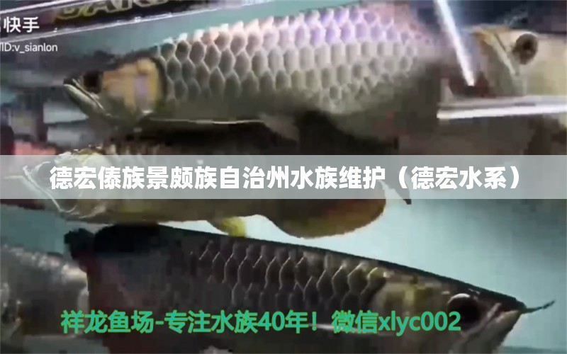 德宏傣族景颇族自治州水族维护（德宏水系） 龙鱼芯片扫码器