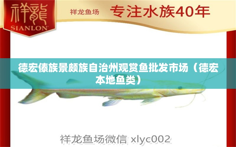 德宏傣族景颇族自治州观赏鱼批发市场（德宏本地鱼类）