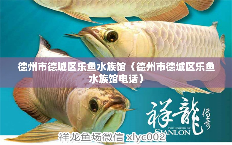 德州市德城区乐鱼水族馆（德州市德城区乐鱼水族馆电话）