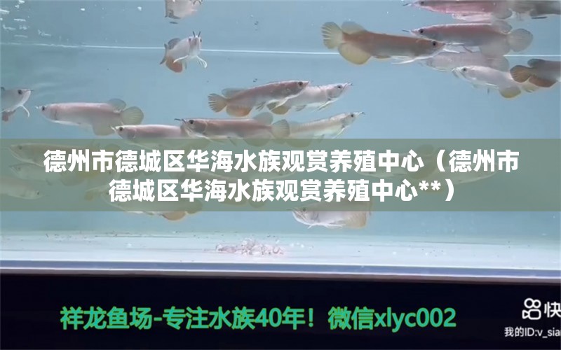 德州市德城区华海水族观赏养殖中心（德州市德城区华海水族观赏养殖中心**） 全国水族馆企业名录