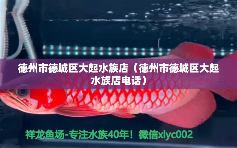 德州市德城区大起水族店（德州市德城区大起水族店电话） 全国水族馆企业名录