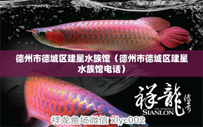 德州市德城区建星水族馆（德州市德城区建星水族馆电话） 全国水族馆企业名录