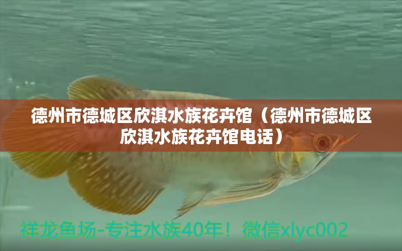 德州市德城区欣淇水族花卉馆（德州市德城区欣淇水族花卉馆电话）