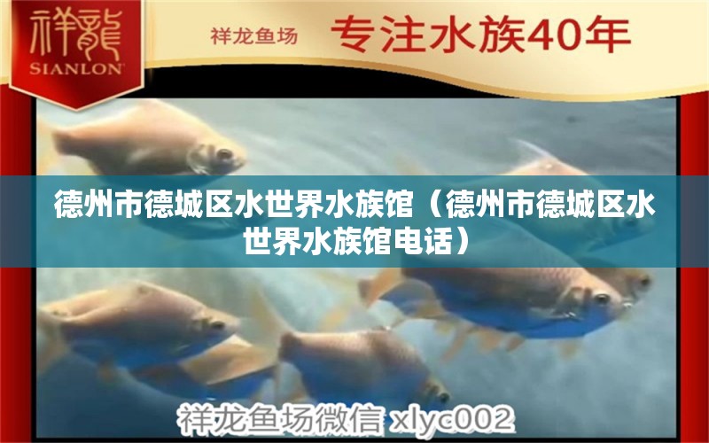 德州市德城区水世界水族馆（德州市德城区水世界水族馆电话） 全国水族馆企业名录