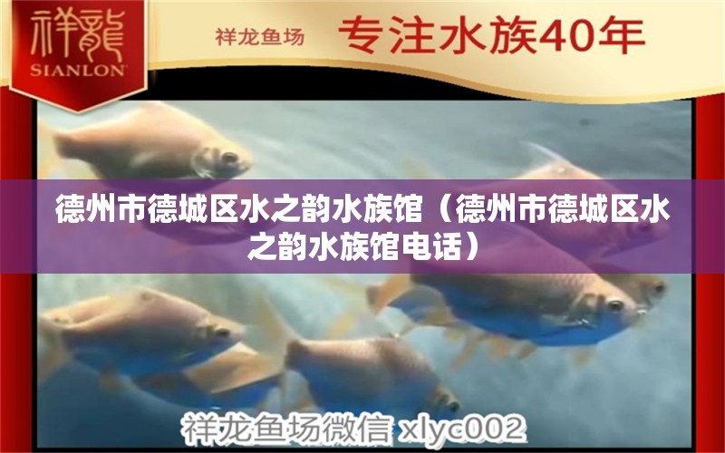 德州市德城区水之韵水族馆（德州市德城区水之韵水族馆电话） 全国水族馆企业名录