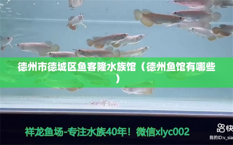 德州市德城区鱼客隆水族馆（德州鱼馆有哪些）