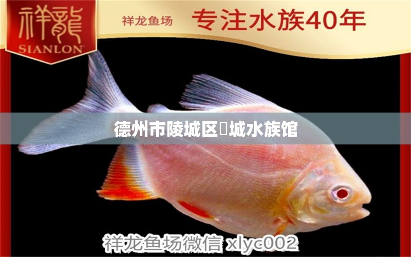 德州市陵城区龍城水族馆 全国水族馆企业名录