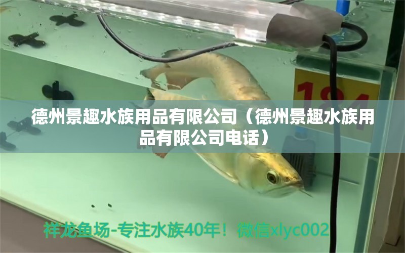 德州景趣水族用品有限公司（德州景趣水族用品有限公司电话） 水族用品