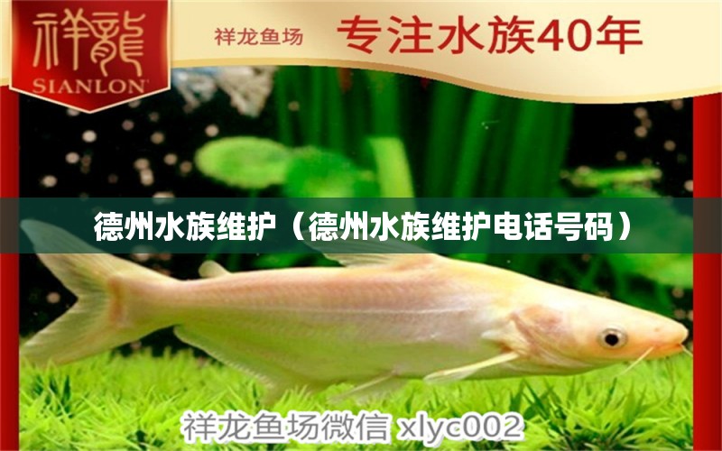 德州水族维护（德州水族维护电话号码） 祥龙鱼场