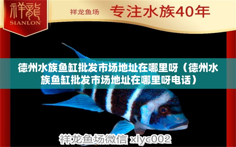 德州水族鱼缸批发市场地址在哪里呀（德州水族鱼缸批发市场地址在哪里呀电话）