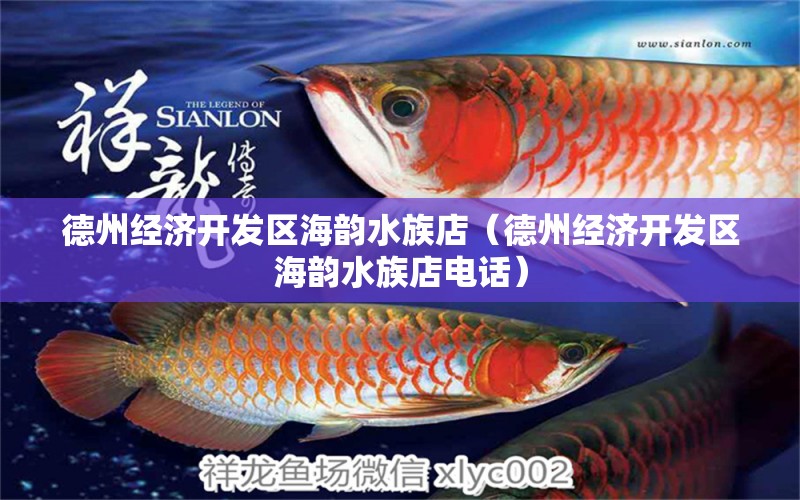 德州经济开发区海韵水族店（德州经济开发区海韵水族店电话）