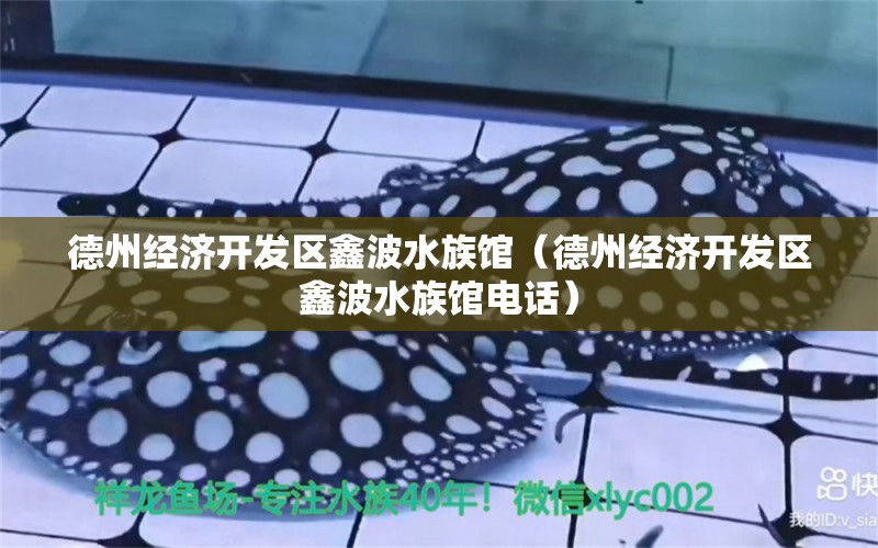 德州经济开发区鑫波水族馆（德州经济开发区鑫波水族馆电话） 全国水族馆企业名录