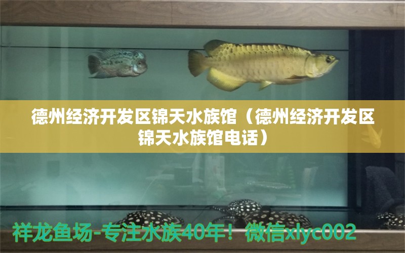 德州经济开发区锦天水族馆（德州经济开发区锦天水族馆电话）