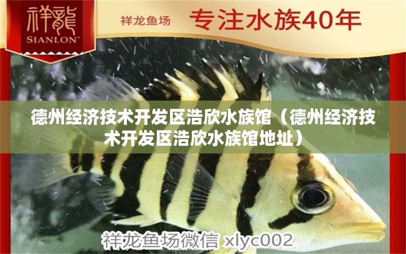 德州经济技术开发区浩欣水族馆（德州经济技术开发区浩欣水族馆地址） 全国水族馆企业名录