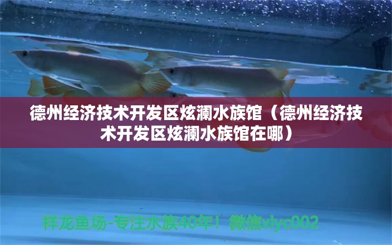 德州经济技术开发区炫澜水族馆（德州经济技术开发区炫澜水族馆在哪） 全国水族馆企业名录