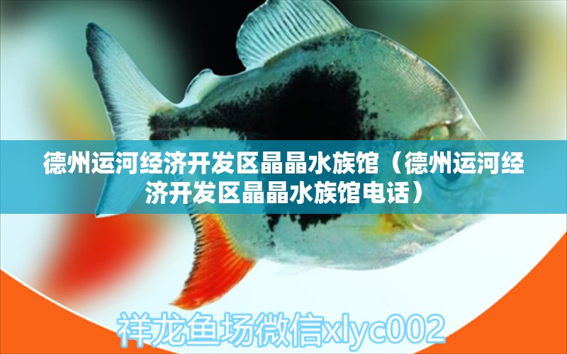 德州运河经济开发区晶晶水族馆（德州运河经济开发区晶晶水族馆电话）