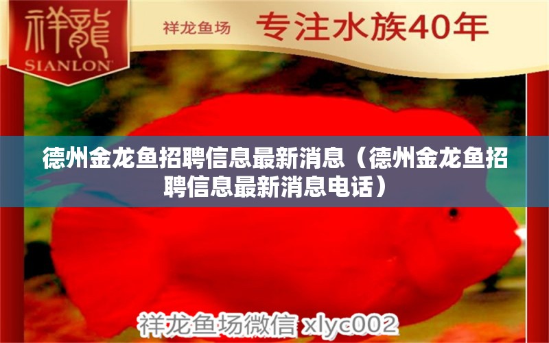 德州金龙鱼招聘信息最新消息（德州金龙鱼招聘信息最新消息电话） 观赏鱼市场（混养鱼）