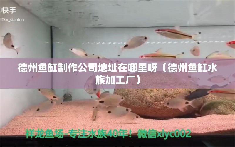 德州鱼缸制作公司地址在哪里呀（德州鱼缸水族加工厂）