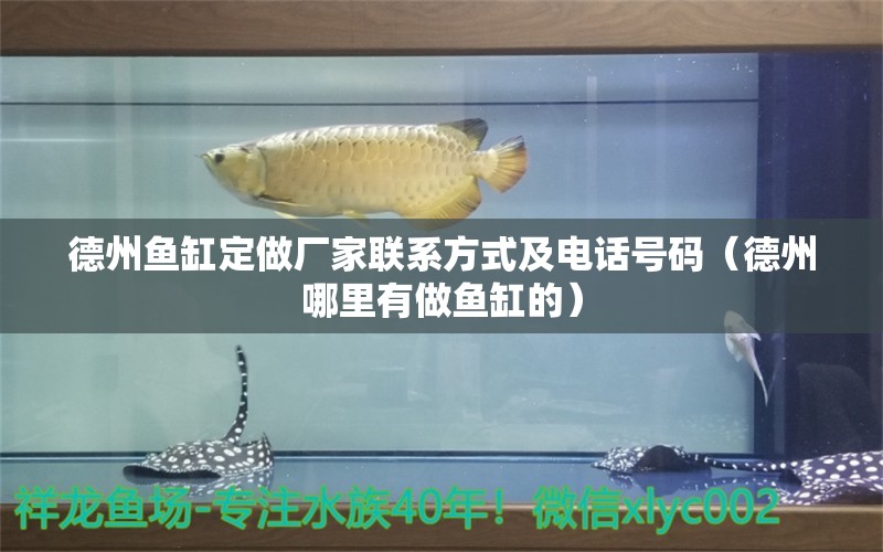 德州鱼缸定做厂家联系方式及电话号码（德州哪里有做鱼缸的）