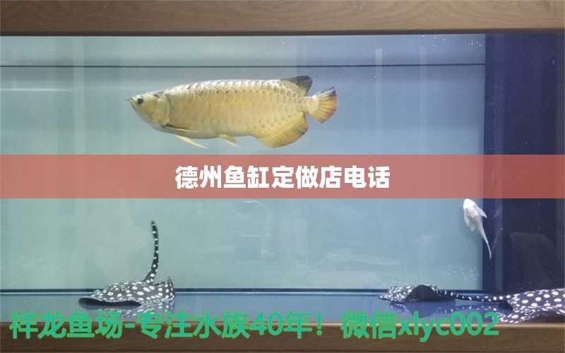 德州鱼缸定做店电话 祥龙鱼场