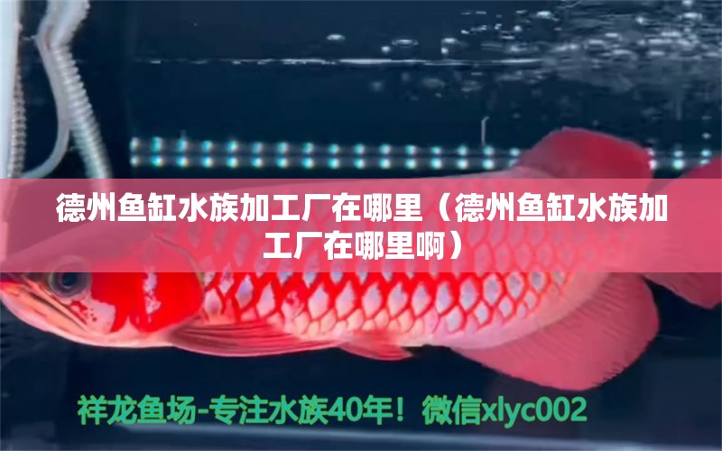 德州鱼缸水族加工厂在哪里（德州鱼缸水族加工厂在哪里啊） 其他品牌鱼缸