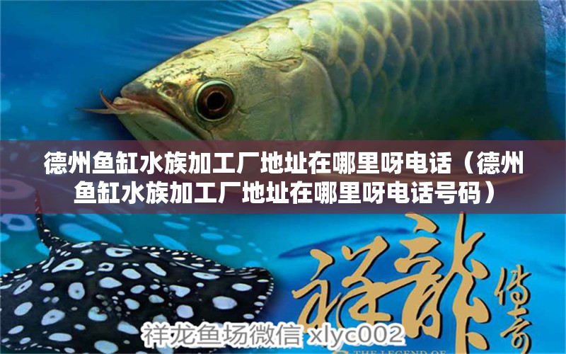 德州鱼缸水族加工厂地址在哪里呀电话（德州鱼缸水族加工厂地址在哪里呀电话号码）