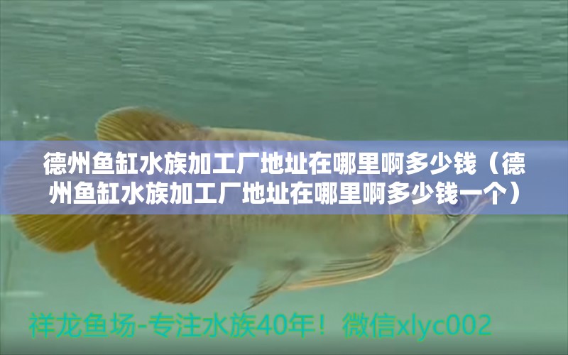 德州鱼缸水族加工厂地址在哪里啊多少钱（德州鱼缸水族加工厂地址在哪里啊多少钱一个）