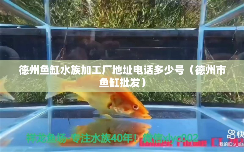 德州鱼缸水族加工厂地址电话多少号（德州市鱼缸批发）