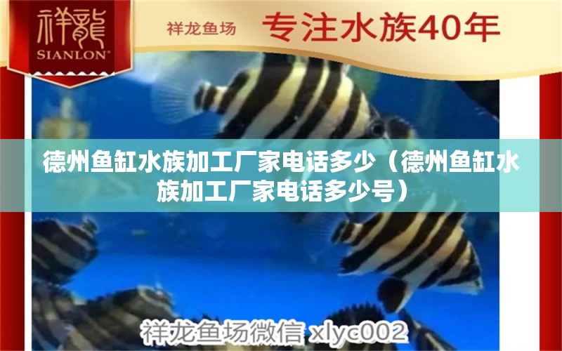 德州鱼缸水族加工厂家电话多少（德州鱼缸水族加工厂家电话多少号）