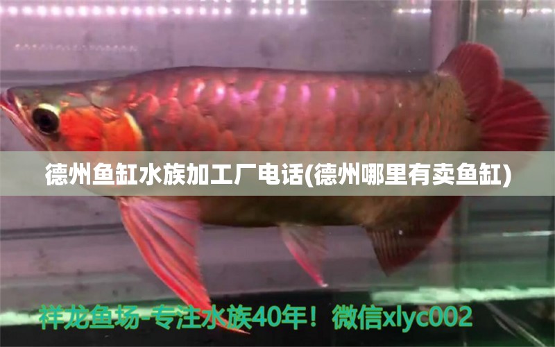 德州鱼缸水族加工厂电话(德州哪里有卖鱼缸) 定时器/自控系统 第1张