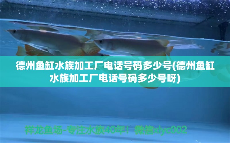 德州鱼缸水族加工厂电话号码多少号(德州鱼缸水族加工厂电话号码多少号呀) 硝化细菌 第1张