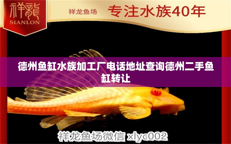 德州鱼缸水族加工厂电话地址查询德州二手鱼缸转让 黑白双星