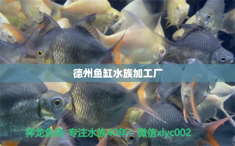 德州鱼缸水族加工厂 其他品牌鱼缸