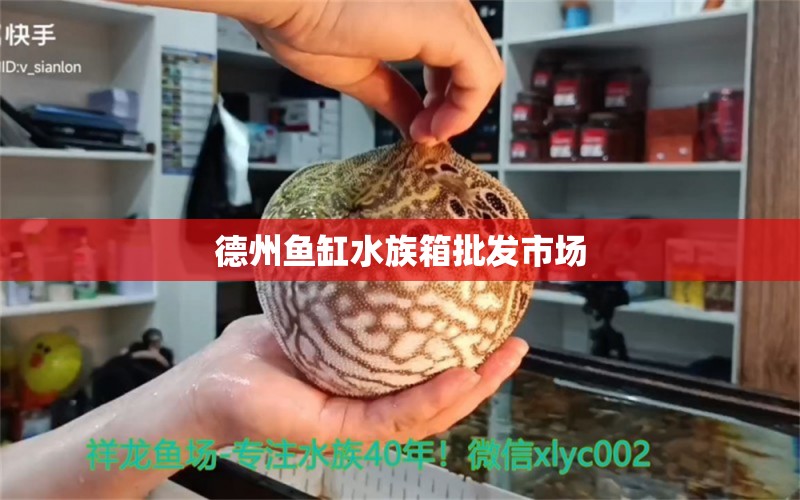 德州鱼缸水族箱批发市场