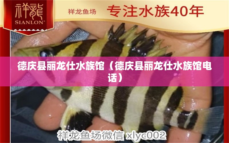 德庆县丽龙仕水族馆（德庆县丽龙仕水族馆电话）