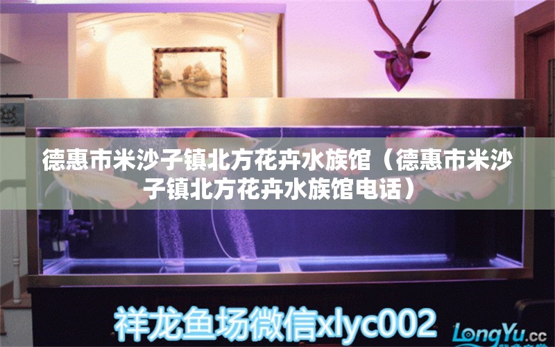 德惠市米沙子镇北方花卉水族馆（德惠市米沙子镇北方花卉水族馆电话） 全国水族馆企业名录