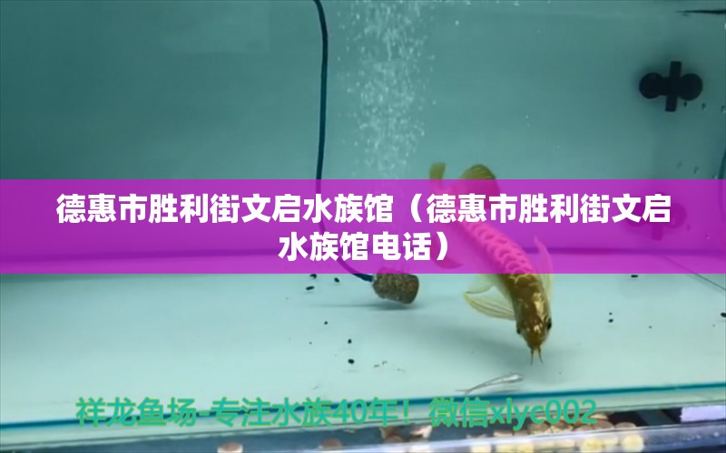 德惠市胜利街文启水族馆（德惠市胜利街文启水族馆电话） 全国水族馆企业名录