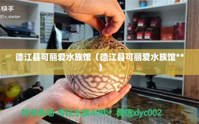 德江县可丽爱水族馆（德江县可丽爱水族馆**） 全国水族馆企业名录